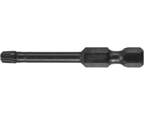 ЗУБР  TX 25, 50 мм, 2 шт., Ударные биты (26025-25-50-S2)