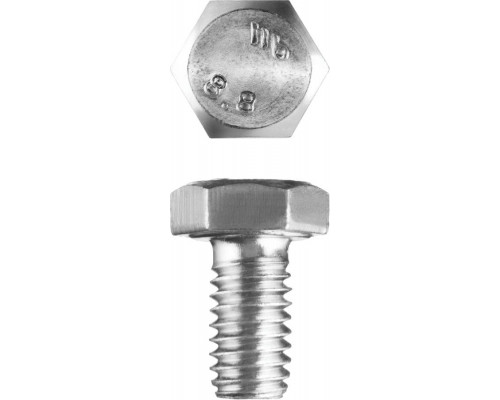 ЗУБР  ГОСТ 7798-70 кл. пр. 5.8, M6 x 10 мм, болт оцинкованный, 5 кг (303080-06-010)