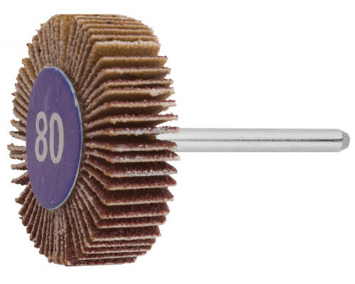 ЗУБР  1 шт, 32 x 10 x 3.2 мм, L 45 мм, P 80, Круг веерный (35934)